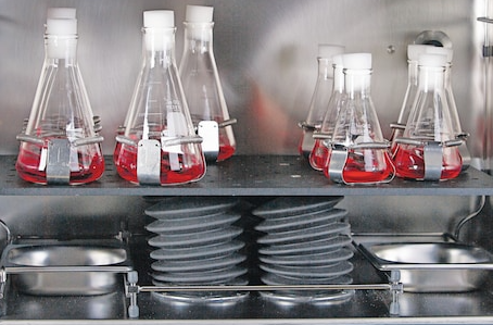 CO2-Inkubator_Eppendorf_NewBrunswick™S41i