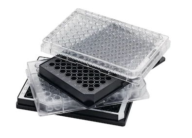 Mikroplattor / PCR-plattor Eppendorf - Assay/Reader Mikroplader