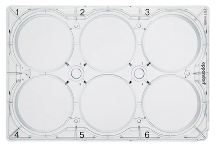 Eppendorf - CCCadvanced® FN1 motifs Cell Culture Plates