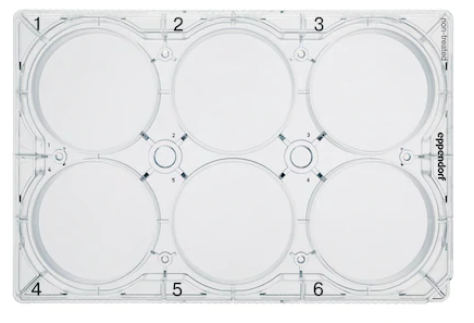 Eppendorf - Celledyrkningsplader