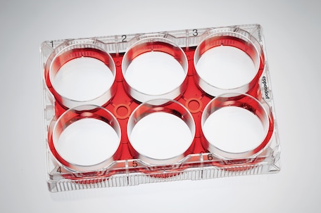 Eppendorf - Celledyrkningsplader