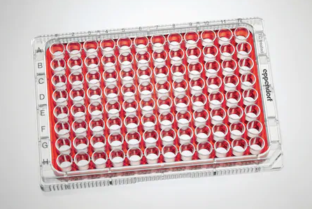 Eppendorf - Celledyrkningsplader