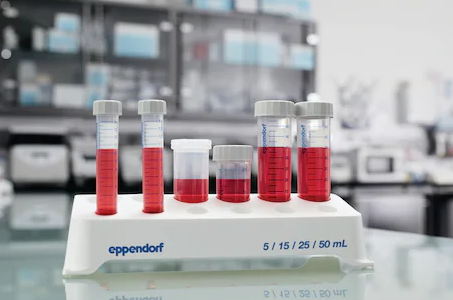 Eppendorf koniske rør 25 mL