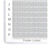 Eppendorf - Protein LoBind Plates