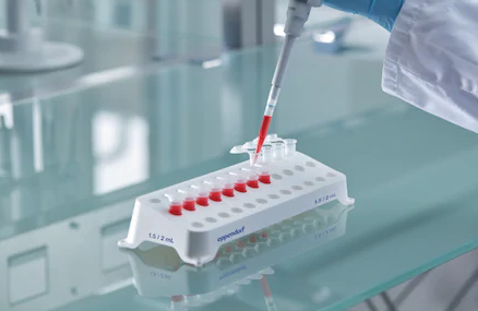 Eppendorf_Tube_Racks_and_Cuvette_Rack