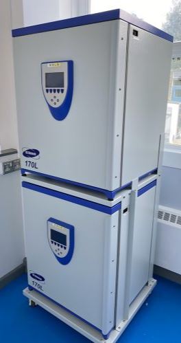 CO2-inkubator_GS-Biotech_170L-Gold_1