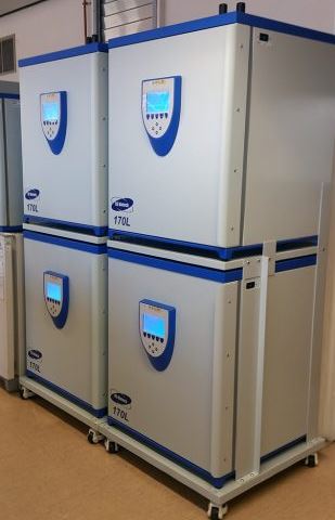 CO2-inkubator_GS-Biotech_170L-Gold_2