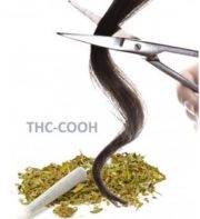 FORENSIS GC-MS-hair analysis THC-COOH 1_1